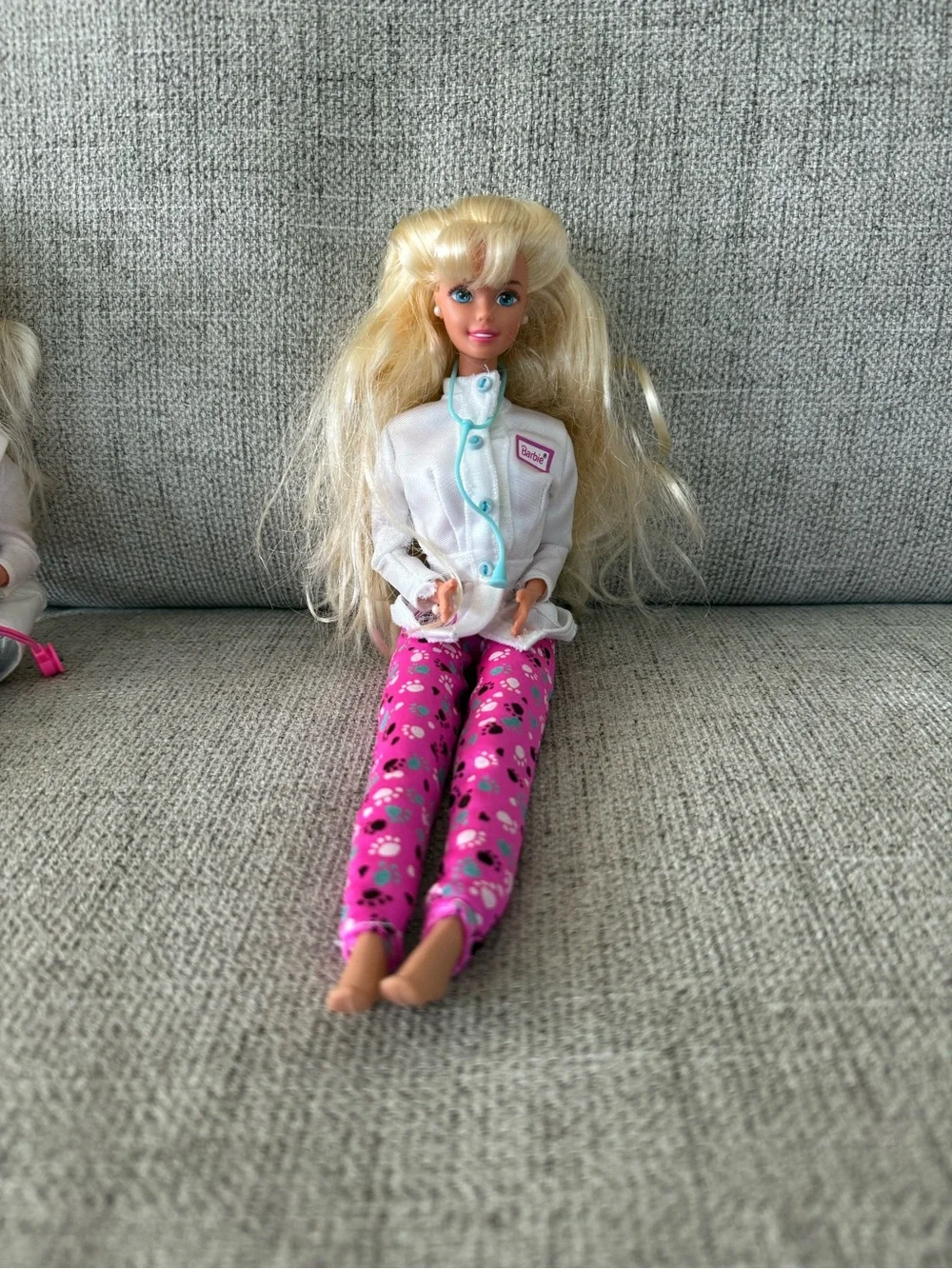 Mattel includes dr